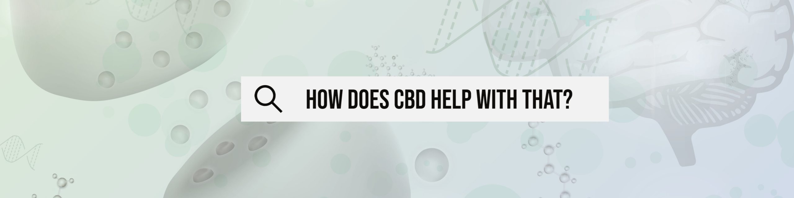 How does CBD help with that?